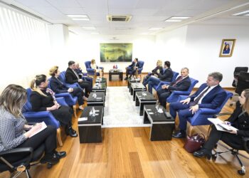 Kurti flet për rëndësinë e bashkëpunimit në politikën e jashtme me deputetët nga Shqipëria