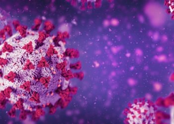 13 të infektuar nga Covid19