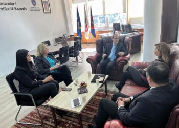 Hoti: Është esenciale që në tema si dialogu Kosova të bashkëpunojë me Shqipërinë