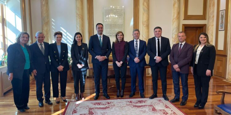 Konjufca takon deputetë nga Shqipëria: Të unifikuar drejt BE-së e brenda NATO-s