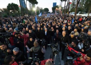 Çështja McGonigal, PD proteston më 11 shkurt