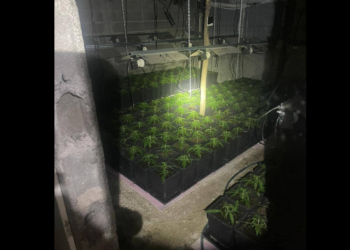 Sveçla: 2.3 milionë euro vlera e drogës dhe pajisjeve të sekuestruara në veri