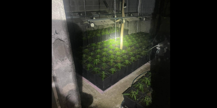 Sveçla: 2.3 milionë euro vlera e drogës dhe pajisjeve të sekuestruara në veri