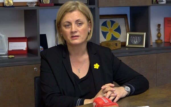 Gjithsej 1935 aplikime të të mbijetuarve të dhunës seksuale