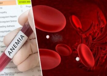 Nëse vuani nga anemia, merrni këto ushqime