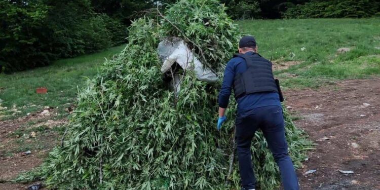 Aksion policor antidrogë në veri të Mitrovicës