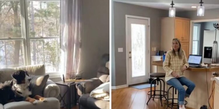 Gjyshja ia ndaloi qenit uljen në divan, shikoni reagimin e saj