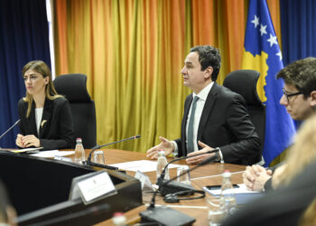 Kurti priti në takim përfaqësuesit e Qendrave për Punë Sociale