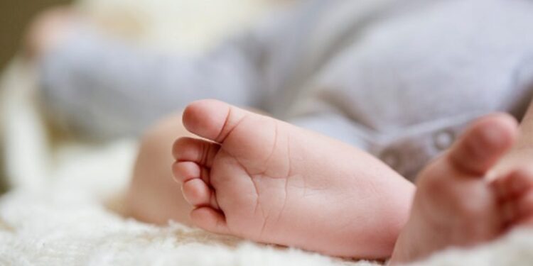 Në Kosovë u regjistruan 26 mijë e 118 lindje gjatë vitit 2022