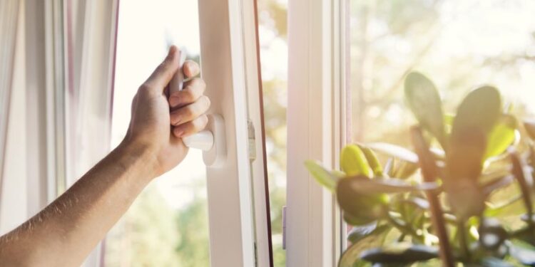 5 mënyra të thjeshta se si mund të pastroni ajrin në shtëpi