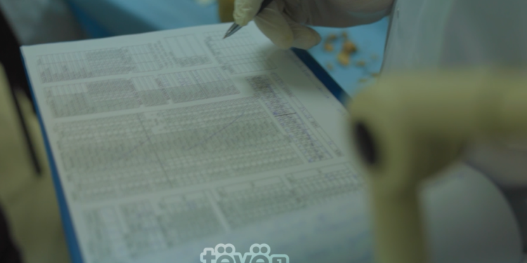 IML rrezikon të mbetet pa qese për kufoma