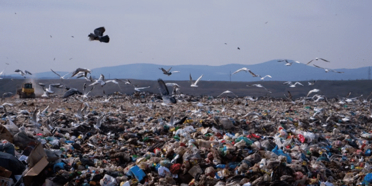 Mbeturina shtazore vend e pa vend, fabrika jofunksionale