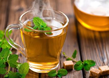 Çaji i mentes – Për frymëmarrje të qetë