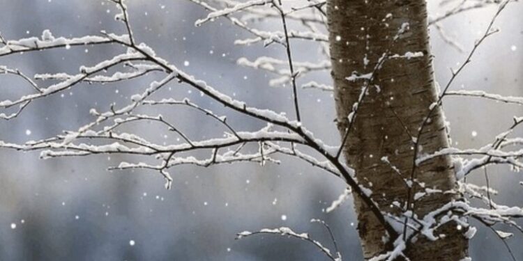 Parashikimi i motit për sot