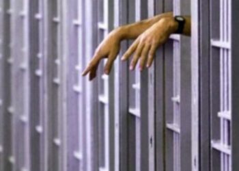 Arrestohen 3 maroken, dyshohen për vjedhje