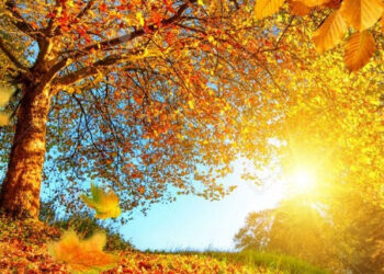 Mot me diell në Kosovë