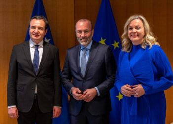 Kurti eurodeputetëve: Kosova synon të shndërrohet në ekonomi të orientuar kah eksporti