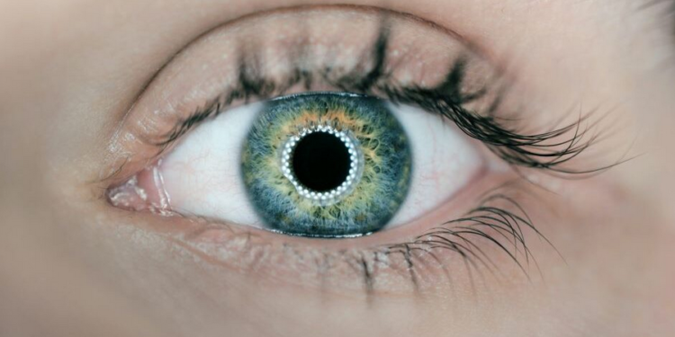 Shenjat e para të sëmundjes Alzheimer shfaqen në sy