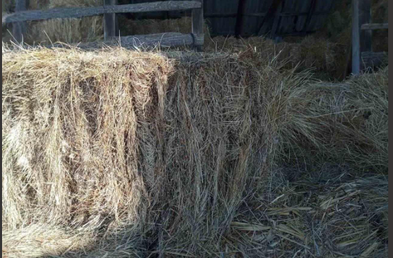 Zjarri ia përfshinë ushqimin e bagëtisë, hetohet nga Policia