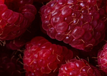 Frutat dhe perimet e kuqe për zemrën, gjakun dhe trurin