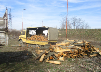Policia sekuestron 13 metër/kub dru në Maqitevë të Suharekës