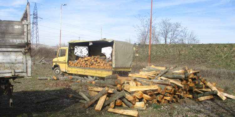 Policia sekuestron 13 metër/kub dru në Maqitevë të Suharekës