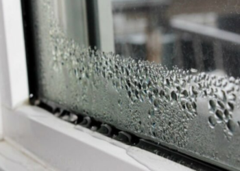 Këto janë sëmundjet që shkakton lagështira në shtëpi