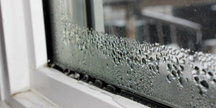 Këto janë sëmundjet që shkakton lagështira në shtëpi