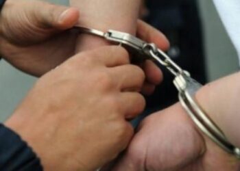 Arrestohet një shqiptar i kërkuar nga Interpoli, dyshohet për dhunim