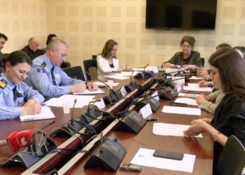 Rriten rastet e dhunës në familje dhe dhunës ndaj grave, ndër faktorët xhelozia