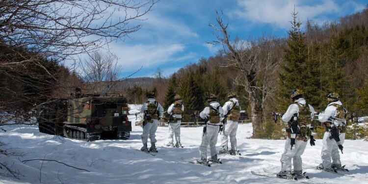 KFOR patrullon në vijën kufitare afër Istogut