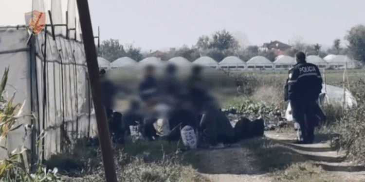 Arrestohen 20 të dyshuar për shpërndarje të drogës në Tiranë