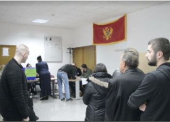 Tuzi mban zgjedhjet lokale