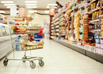 Produktet vendore më të shtrenjta se ato të importit, ankohen prodhuesit