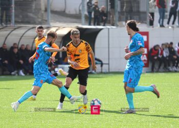 Drenica – Ballkani, formacionet zyrtare