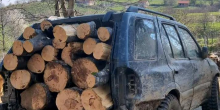 Policia në Shtërpcë kap në flagrancë 17-vjeçarin duke transportuar ilegalisht drunjë