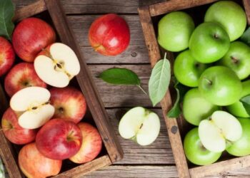 Të gjelbra apo të kuqe? Ja cilat molla janë më të shëndetshme për trupin