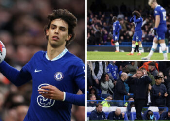 Stamford Brigde i kthehet përmbys Potterit: Ti nuk ki iden se çfarë po bën