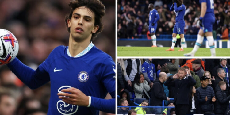 Stamford Brigde i kthehet përmbys Potterit: Ti nuk ki iden se çfarë po bën