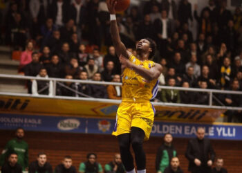 Ylli të pamëshirë ndaj Vëllaznimit