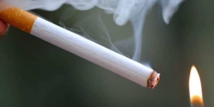 10 ushqimet që pastrojnë trupin nga nikotina