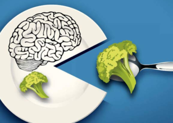 Ushqimet ideale për trurin, konsumimi i tyre rrit përqendrimin dhe kujtesën