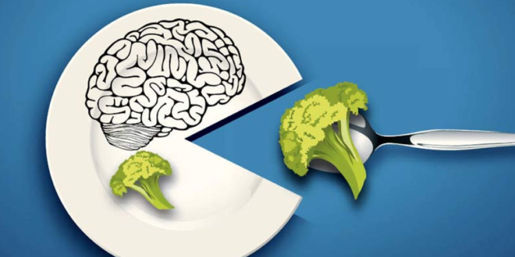 Ushqimet ideale për trurin, konsumimi i tyre rrit përqendrimin dhe kujtesën