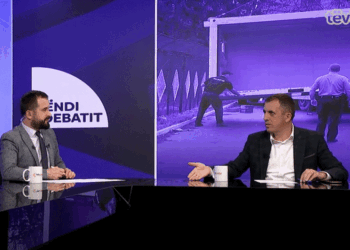 Zyba: Në komunat në veri jemi duke e vendosur farën e demokracisë