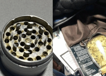 Arrestohet në Shqipëri një 31-vjeçar nga Kosova, kishte fshehur vazo me kanabis në makinë