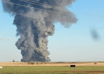 18 mijë lopë të vrara nga shpërthimi në fermën e bulmetit në Texas