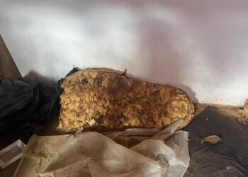 Policia sekuestron në Viti rreth 500 kg duhan që dyshohet të jetë kontrabanduar