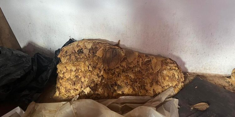 Policia sekuestron në Viti rreth 500 kg duhan që dyshohet të jetë kontrabanduar