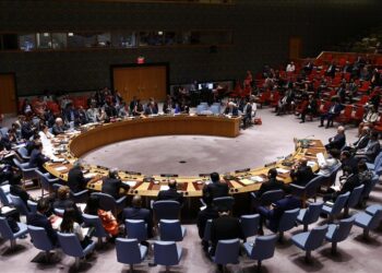 Sulmi ndaj Valon Sylës, reagon Raportuesja Speciale për Liri të Shprehjes e Kombeve të Bashkuara