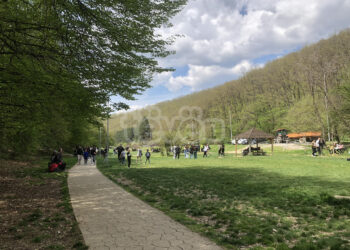 Festë e zbehtë në parkun e Gërmisë